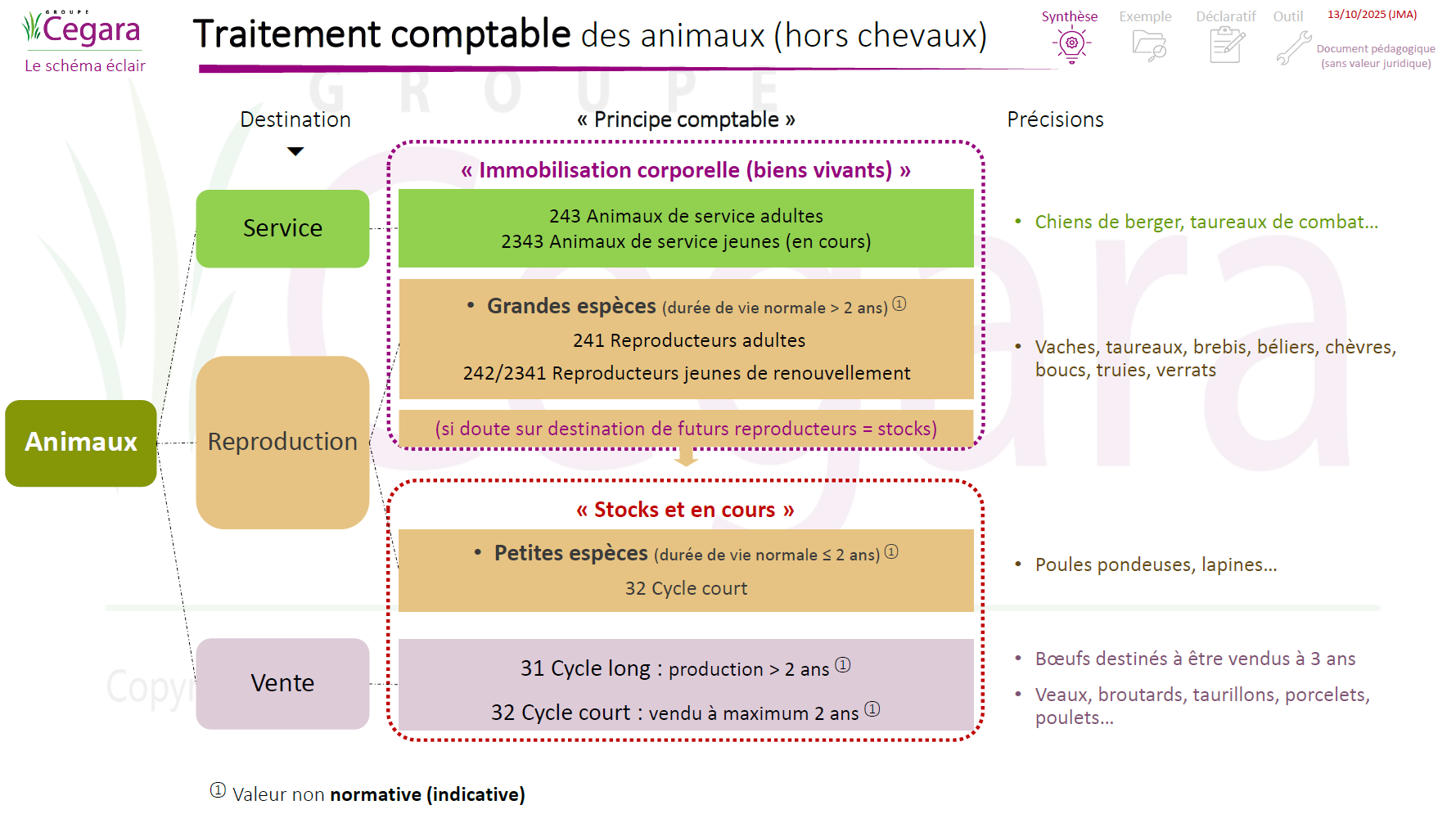 Schéma - Traitement comptable et fiscal des animaux